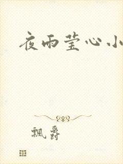 夜雨莹心小说