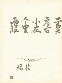两个小兔子在衣服里左右晃