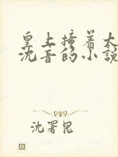 皇上撞着太子妃沈音的小说叫什么