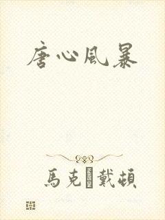 唐心风暴