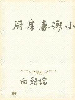 厨房春潮小说