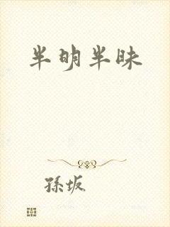半明半昧
