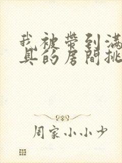 我被带到满是玩具的房间挑调作文