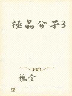 极品公子3