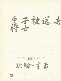 皇子被送去犒劳将士