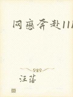 网恋奔赴11h
