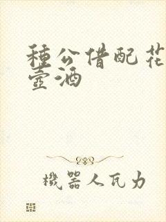 种公借配花间一壶酒