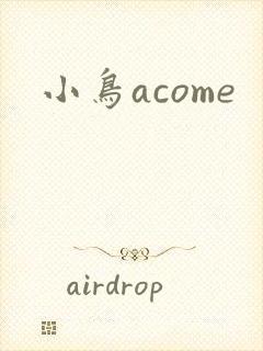 小鸟acome封面