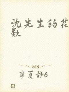 沈先生的花式调数