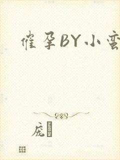 催孕BY小蛮腰