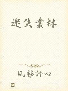 迷失丛林封面