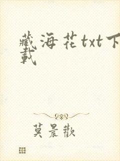 藏海花txt下载