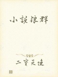 小说狼群
