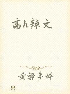 高h辣文