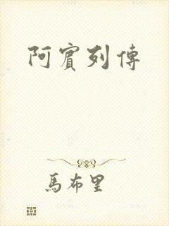 阿宾列传封面
