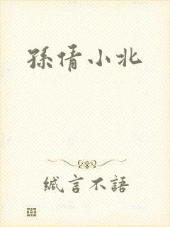孙倩小北封面