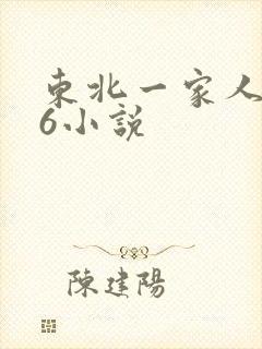 东北一家人1一6小说