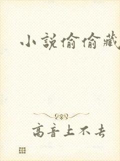 小说偷偷藏不住