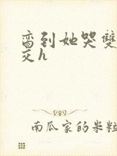 脔到她哭双根宫交h