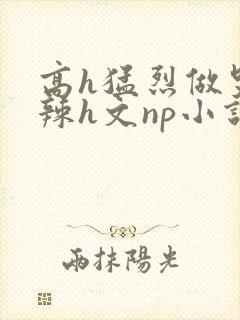 高h猛烈做哭高辣h文np小说