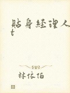 贴身经理人txt