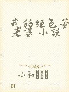 我的绝色董事长老婆 小说