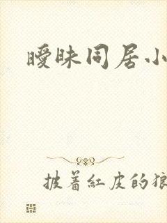 暧昧同居小说封面