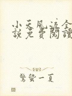 小天风流全集小说免费阅读