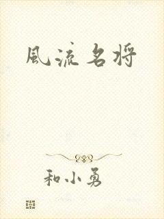 风流名将封面