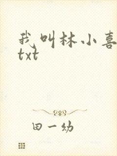 我叫林小喜小说txt