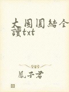 大团圆结全文阅读txt