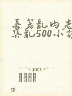 长篇乱肉老师合集乱500小说封面