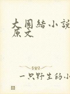 大团结小说阅读原文