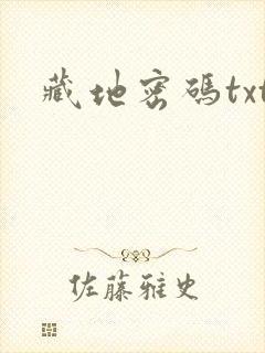 藏地密码txt