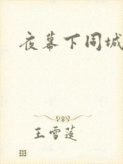 夜幕下同城网