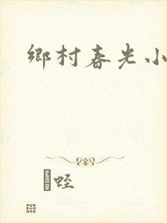 乡村春光小说
