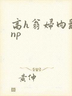 高h翁妇肉乱文np