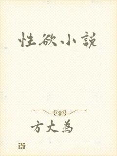 性欲小说封面