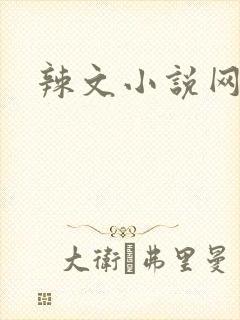 辣文小说网封面