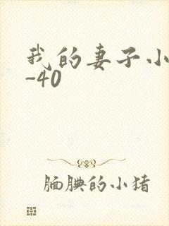 我的妻子小谨1-40