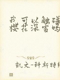 我可以触碰你的樱花深处吗