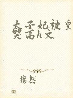 太子妃被皇上c哭高h文