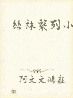 丝袜系列小说