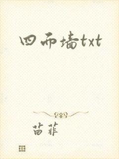 四面墙txt