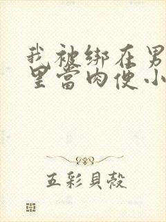 我被绑在男公厕里当肉便小说封面