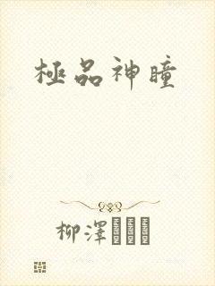 极品神瞳
