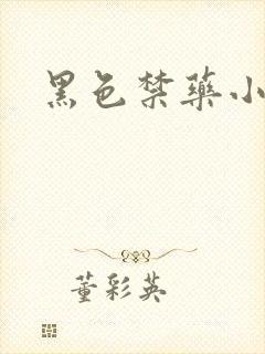 黑色禁药小说