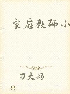 家庭教师小说
