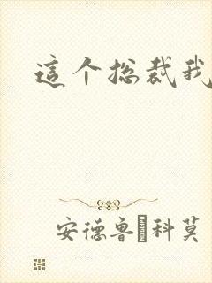 这个总裁我要了