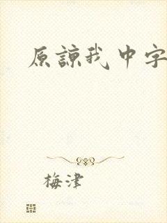 原谅我中字